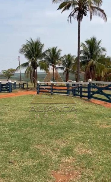 Aliança Imóveis - Imobiliária em Ribeirão Preto - SP - Fazenda  - Zona Rural - Marília
