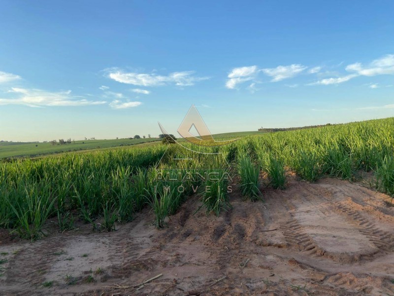 Aliança Imóveis - Imobiliária em Ribeirão Preto - SP - Fazenda  - Zona Rural - Echaporã