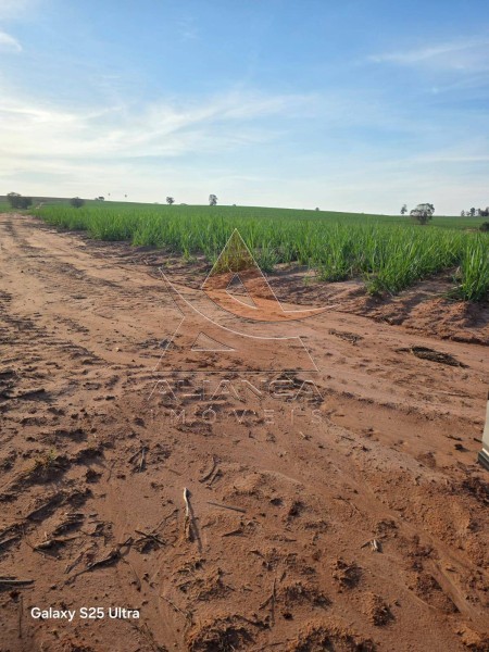 Aliança Imóveis - Imobiliária em Ribeirão Preto - SP - Fazenda  - Zona Rural - Echaporã