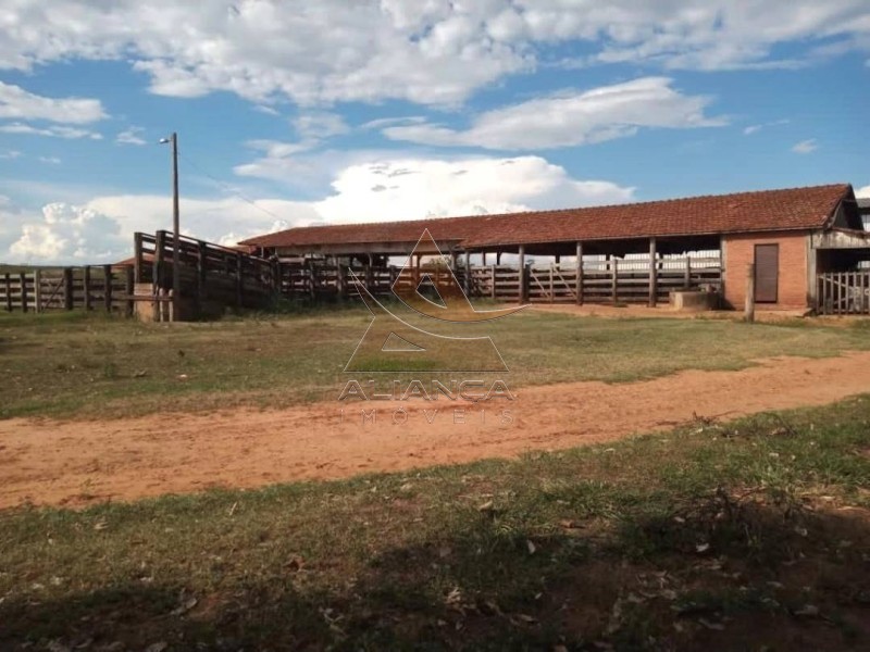 Aliança Imóveis - Imobiliária em Ribeirão Preto - SP - Fazenda  - Zona Rural - Echaporã