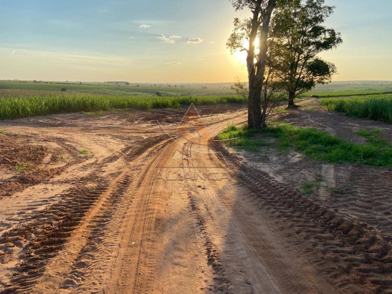 Aliança Imóveis - Imobiliária em Ribeirão Preto - SP - Fazenda  - Zona Rural - Echaporã