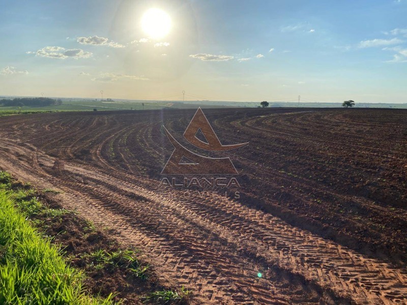 Aliança Imóveis - Imobiliária em Ribeirão Preto - SP - Fazenda  - Zona Rural - Echaporã