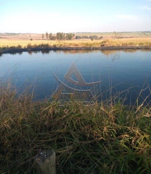 Aliança Imóveis - Imobiliária em Ribeirão Preto - SP - Fazenda  - Zona Rural - Echaporã