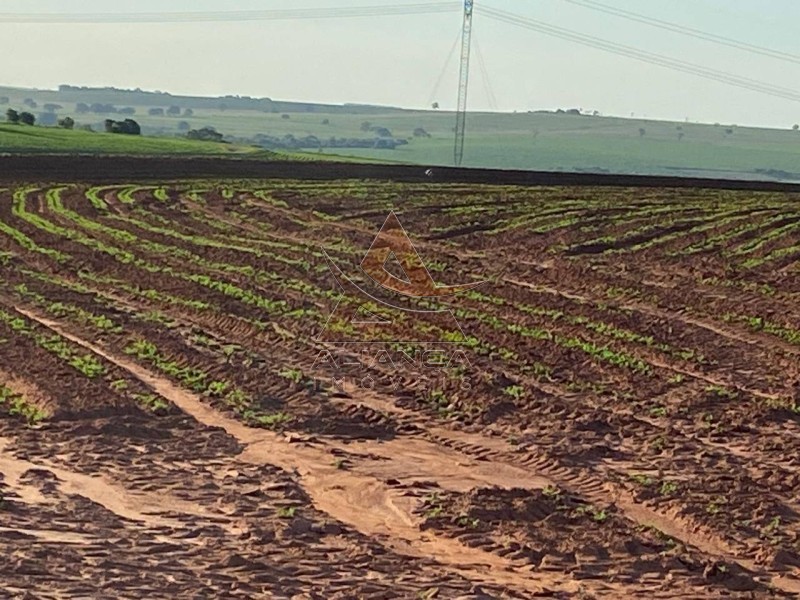 Aliança Imóveis - Imobiliária em Ribeirão Preto - SP - Fazenda  - Zona Rural - Echaporã