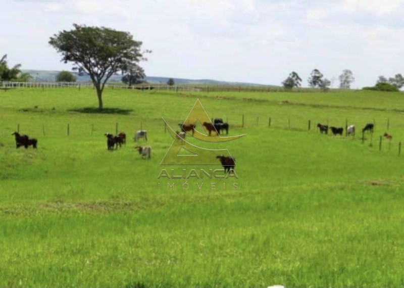 Aliança Imóveis - Imobiliária em Ribeirão Preto - SP - Fazenda  - Zona Rural - Bauru 