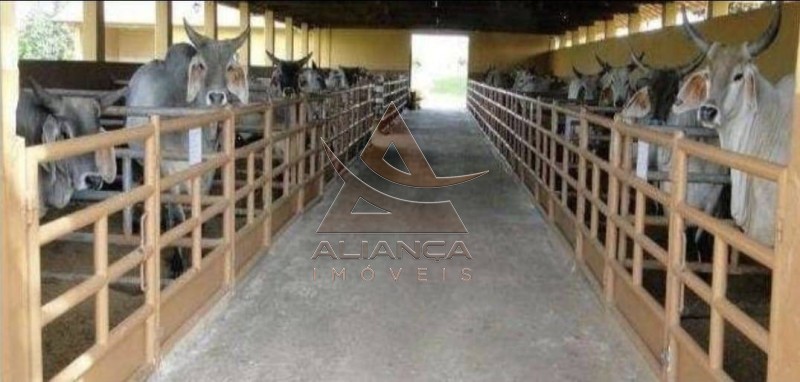 Aliança Imóveis - Imobiliária em Ribeirão Preto - SP - Fazenda  - Zona Rural - Bauru 