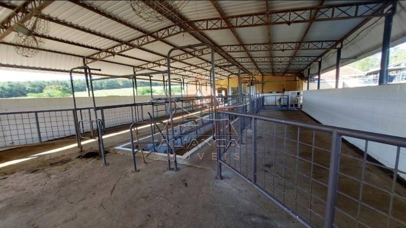 Aliança Imóveis - Imobiliária em Ribeirão Preto - SP - Fazenda  - Zona Rural - Bauru 
