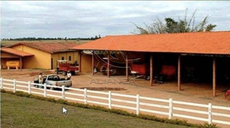 Aliança Imóveis - Imobiliária em Ribeirão Preto - SP - Fazenda  - Zona Rural - Bauru 