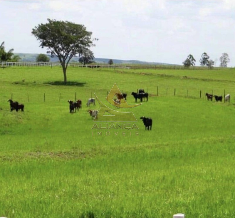 Aliança Imóveis - Imobiliária em Ribeirão Preto - SP - Fazenda  - Zona Rural - Bauru 