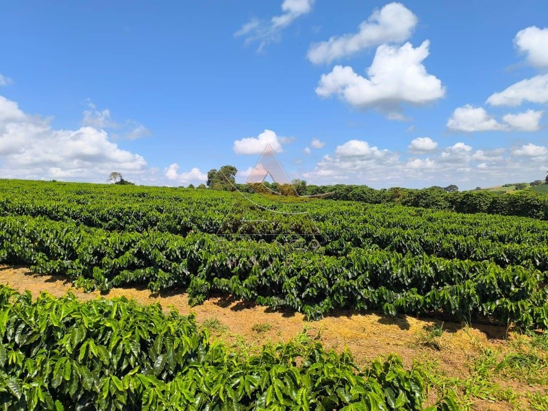 Aliança Imóveis - Imobiliária em Ribeirão Preto - SP - Fazenda  - Zona Rural  - Alfenas