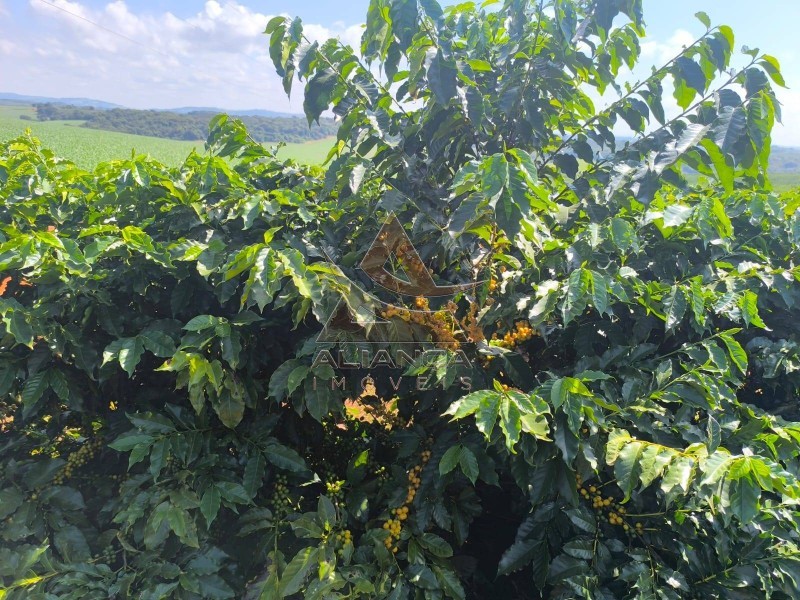 Aliança Imóveis - Imobiliária em Ribeirão Preto - SP - Fazenda  - Zona Rural  - Alfenas