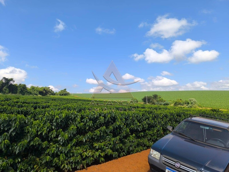 Aliança Imóveis - Imobiliária em Ribeirão Preto - SP - Fazenda  - Zona Rural  - Alfenas