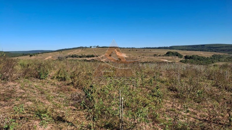Aliança Imóveis - Imobiliária em Ribeirão Preto - SP - Fazenda  - Zona Rural  - Anhembi