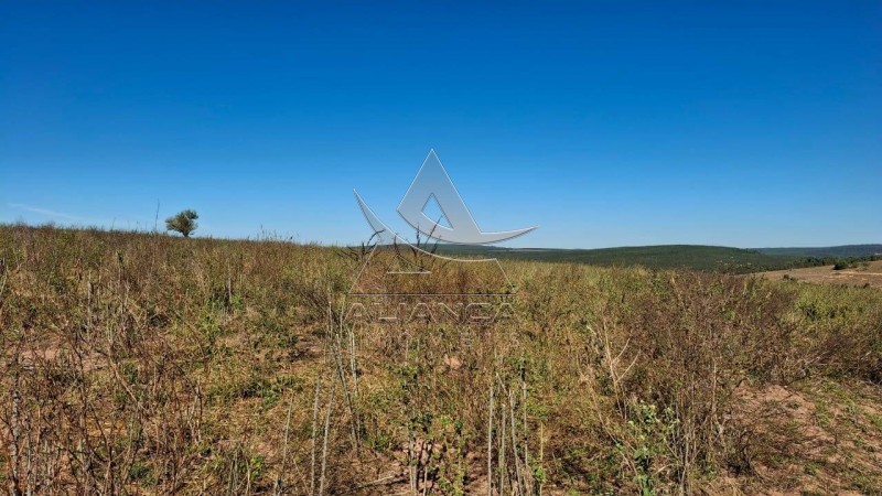 Aliança Imóveis - Imobiliária em Ribeirão Preto - SP - Fazenda  - Zona Rural  - Anhembi
