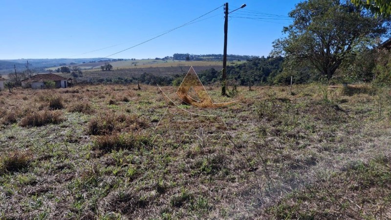 Aliança Imóveis - Imobiliária em Ribeirão Preto - SP - Fazenda  - Zona Rural  - Anhembi