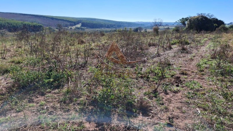 Aliança Imóveis - Imobiliária em Ribeirão Preto - SP - Fazenda  - Zona Rural  - Anhembi