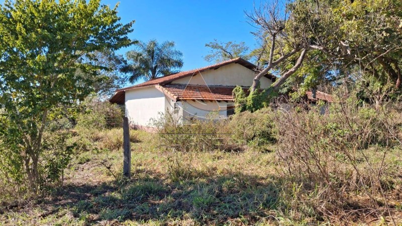 Aliança Imóveis - Imobiliária em Ribeirão Preto - SP - Fazenda  - Zona Rural  - Anhembi