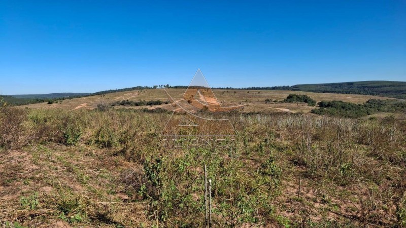 Aliança Imóveis - Imobiliária em Ribeirão Preto - SP - Fazenda  - Zona Rural  - Anhembi