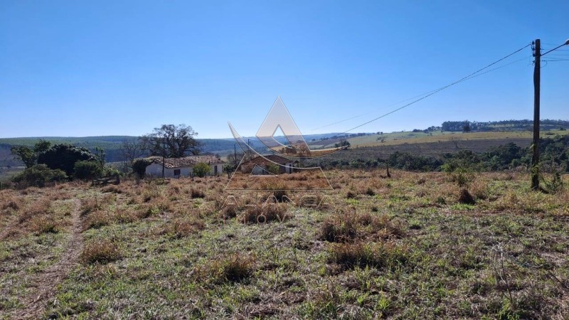 Aliança Imóveis - Imobiliária em Ribeirão Preto - SP - Fazenda  - Zona Rural  - Anhembi