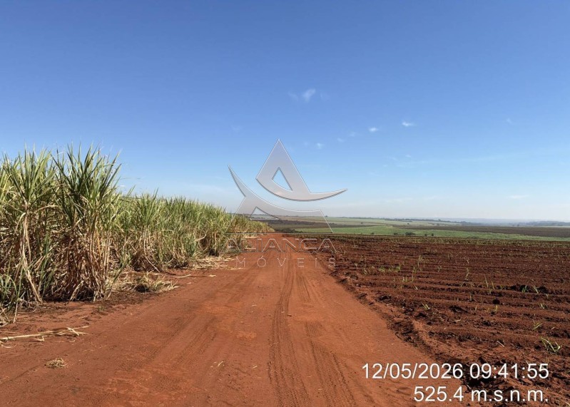 Aliança Imóveis - Imobiliária em Ribeirão Preto - SP - Fazenda  - Zona Rural - Colombia