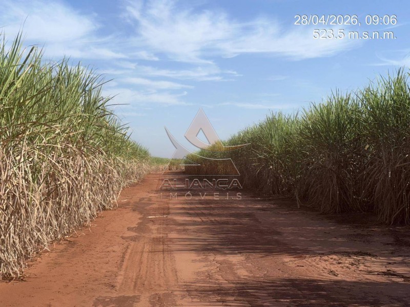 Aliança Imóveis - Imobiliária em Ribeirão Preto - SP - Fazenda  - Zona Rural - Colombia