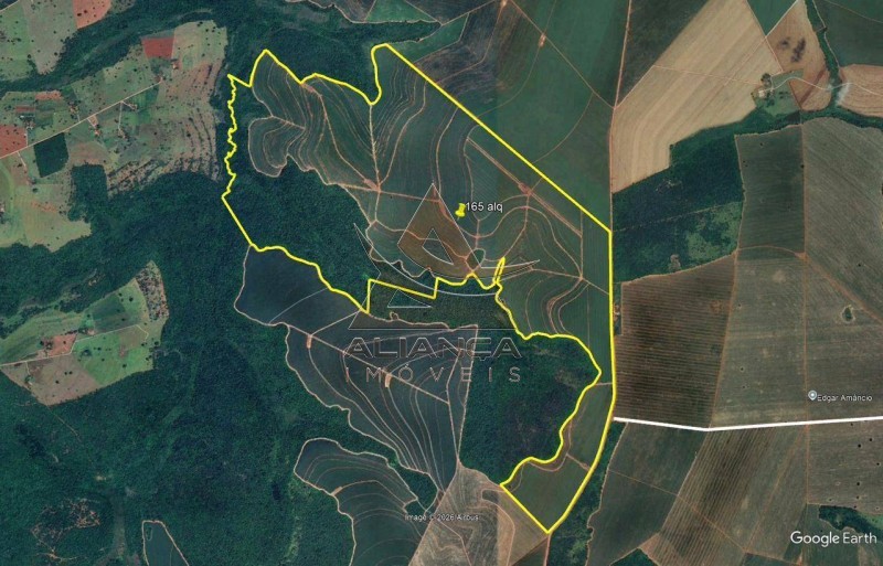 Aliança Imóveis - Imobiliária em Ribeirão Preto - SP - Fazenda  - Zona Rural - Colombia