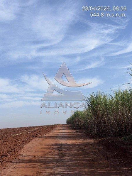 Aliança Imóveis - Imobiliária em Ribeirão Preto - SP - Fazenda  - Zona Rural - Colombia