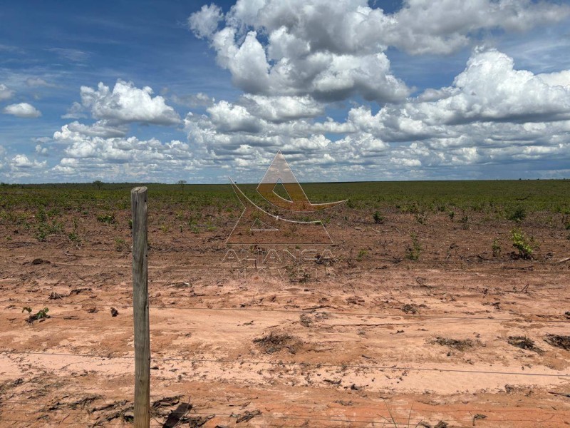 Aliança Imóveis - Imobiliária em Ribeirão Preto - SP - Fazenda  - Zona Rural  - Chapada Gaúcha
