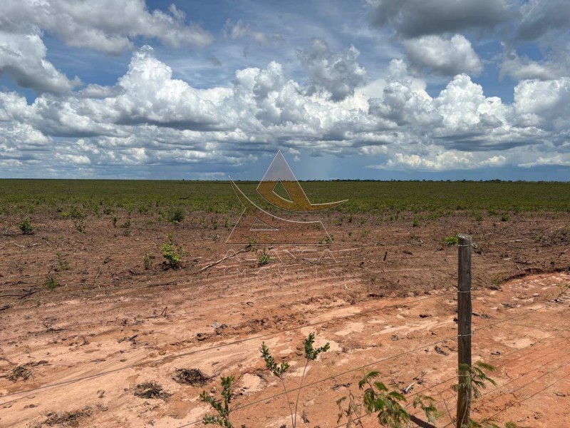 Aliança Imóveis - Imobiliária em Ribeirão Preto - SP - Fazenda  - Zona Rural  - Chapada Gaúcha