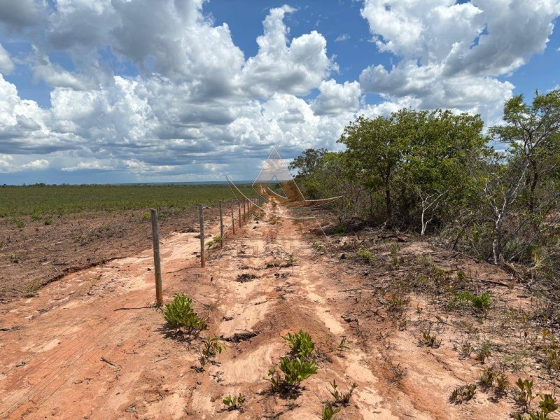 Aliança Imóveis - Imobiliária em Ribeirão Preto - SP - Fazenda  - Zona Rural  - Chapada Gaúcha