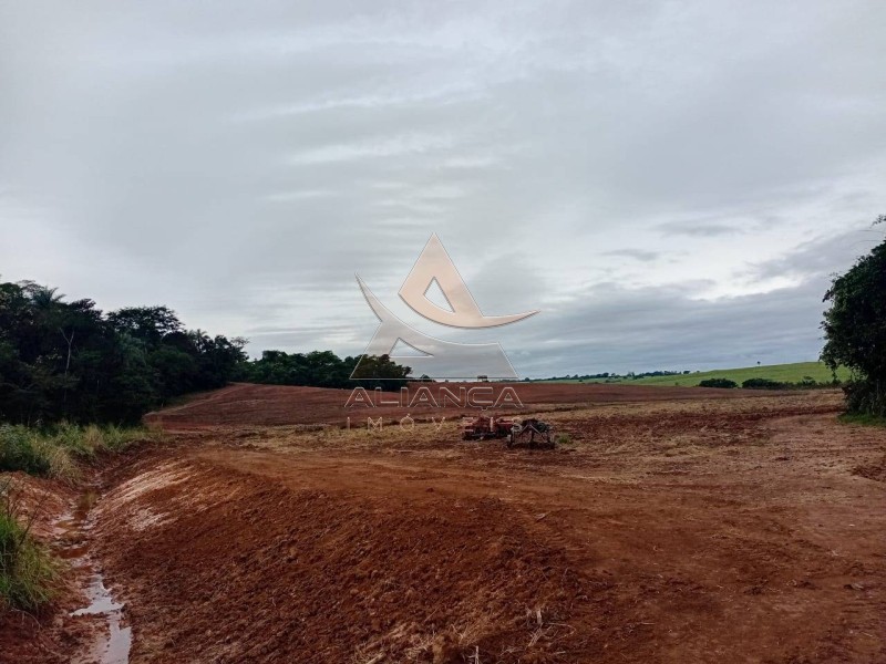 Aliança Imóveis - Imobiliária em Ribeirão Preto - SP - Sítio - Zona Rural  - Tambaú