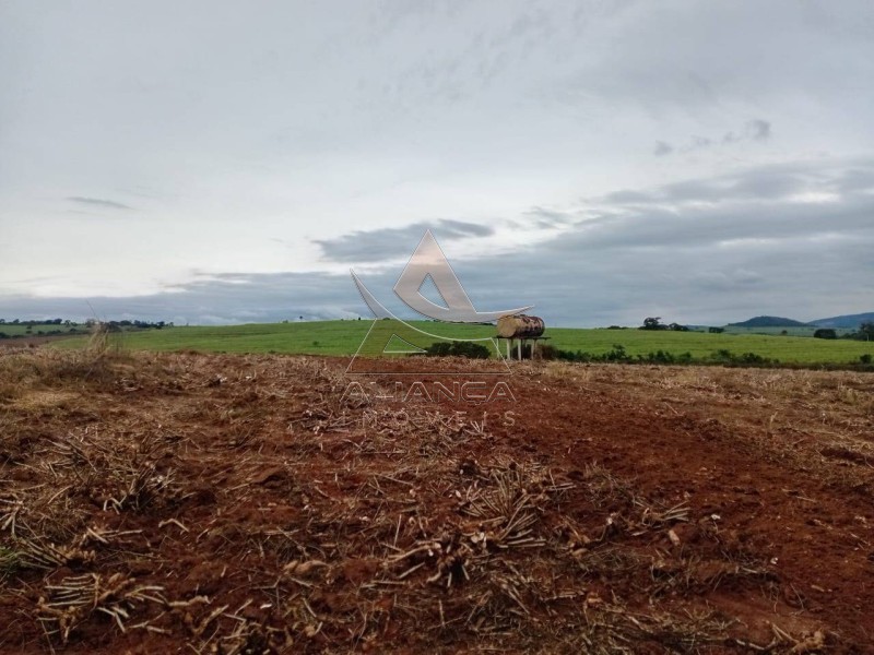 Aliança Imóveis - Imobiliária em Ribeirão Preto - SP - Sítio - Zona Rural  - Tambaú