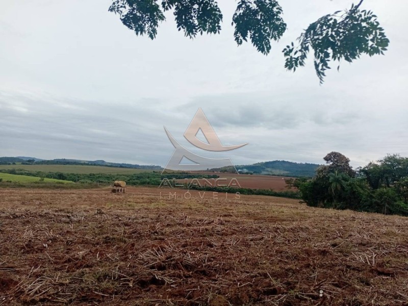 Aliança Imóveis - Imobiliária em Ribeirão Preto - SP - Sítio - Zona Rural  - Tambaú