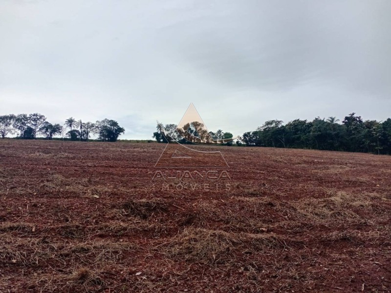 Aliança Imóveis - Imobiliária em Ribeirão Preto - SP - Sítio - Zona Rural  - Tambaú