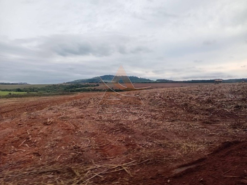 Aliança Imóveis - Imobiliária em Ribeirão Preto - SP - Sítio - Zona Rural  - Tambaú