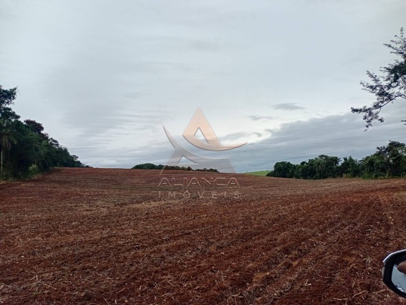 Aliança Imóveis - Imobiliária em Ribeirão Preto - SP - Sítio - Zona Rural  - Tambaú