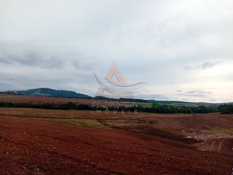 Aliança Imóveis - Imobiliária em Ribeirão Preto - SP - Sítio - Zona Rural  - Tambaú