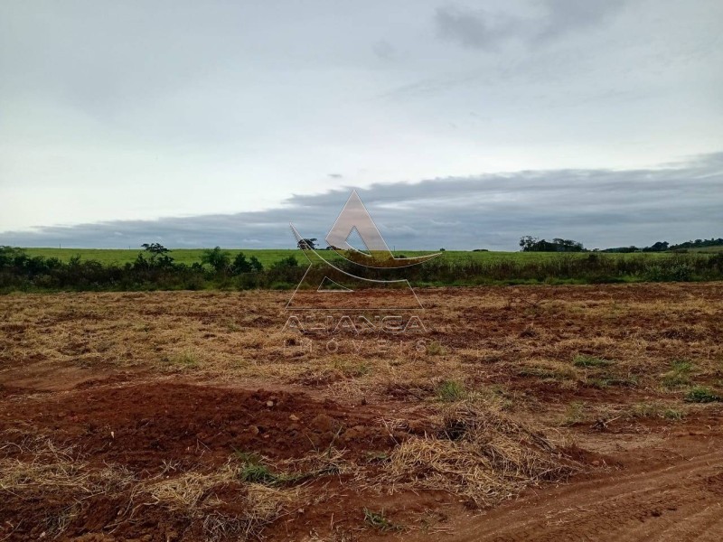 Aliança Imóveis - Imobiliária em Ribeirão Preto - SP - Sítio - Zona Rural  - Tambaú