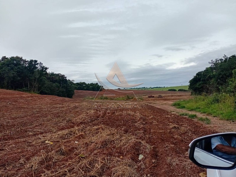 Aliança Imóveis - Imobiliária em Ribeirão Preto - SP - Sítio - Zona Rural  - Tambaú