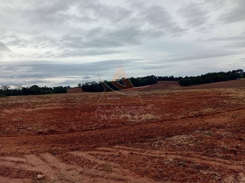 Aliança Imóveis - Imobiliária em Ribeirão Preto - SP - Sítio - Zona Rural  - Tambaú