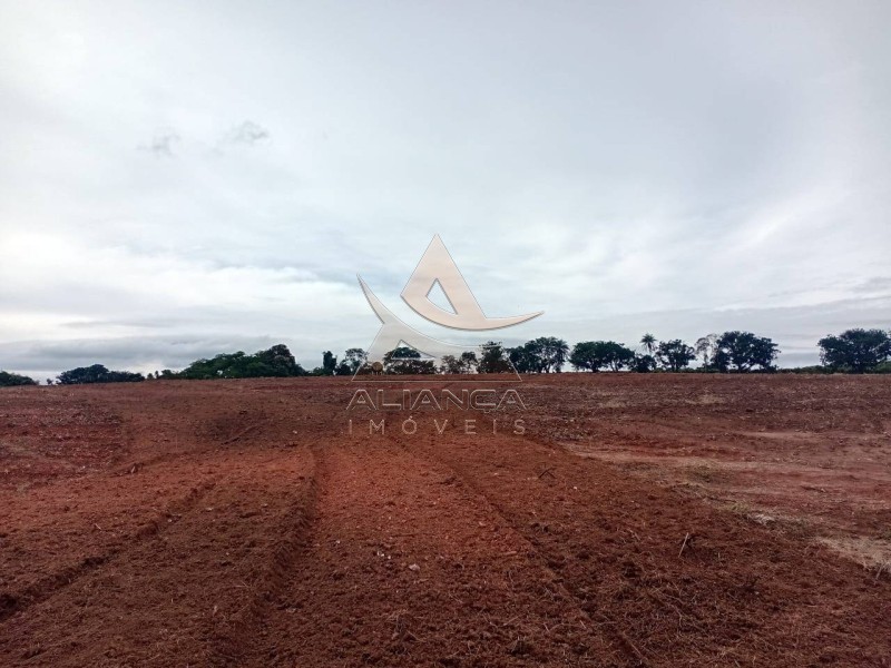 Aliança Imóveis - Imobiliária em Ribeirão Preto - SP - Sítio - Zona Rural  - Tambaú