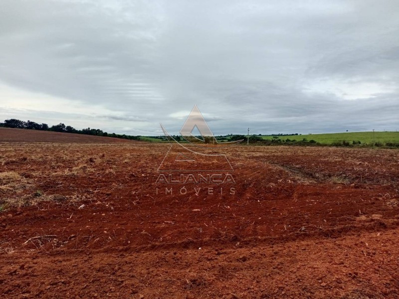 Aliança Imóveis - Imobiliária em Ribeirão Preto - SP - Sítio - Zona Rural  - Tambaú