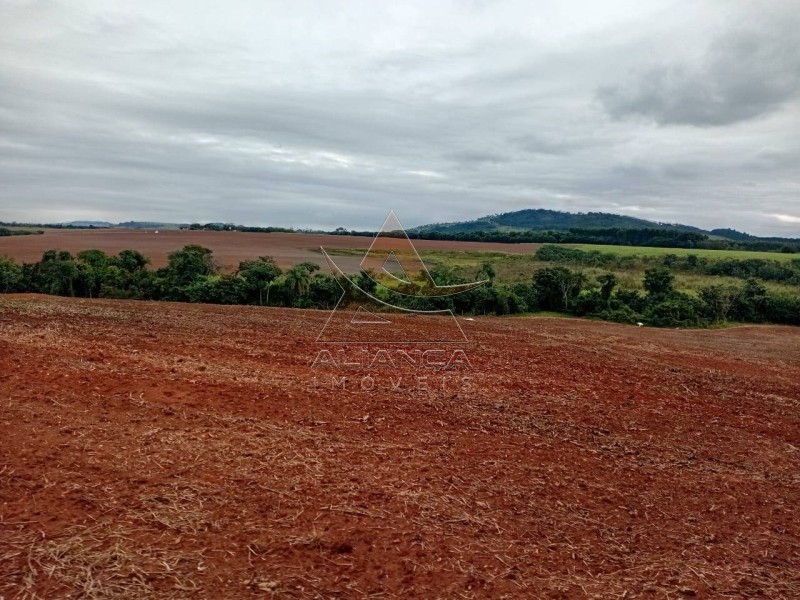 Aliança Imóveis - Imobiliária em Ribeirão Preto - SP - Sítio - Zona Rural  - Tambaú