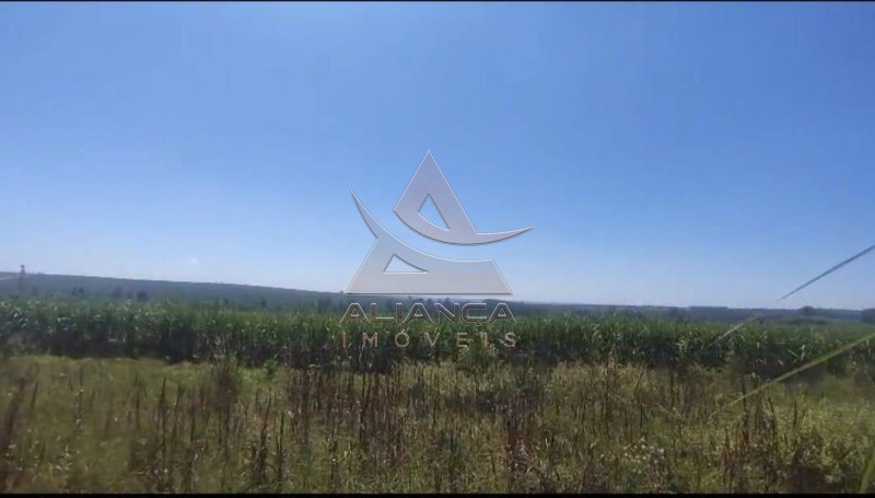 Aliança Imóveis - Imobiliária em Ribeirão Preto - SP - Fazenda  - Zona Rural - Rancharia 