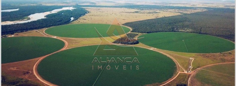 Aliança Imóveis - Imobiliária em Ribeirão Preto - SP - Fazenda  - Zona Rural - Britânia