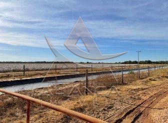 Aliança Imóveis - Imobiliária em Ribeirão Preto - SP - Fazenda  - Zona Rural - Britânia