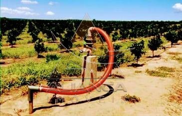 Aliança Imóveis - Imobiliária em Ribeirão Preto - SP - Fazenda  - Zona Rural - Itirapina