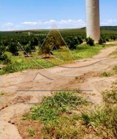 Aliança Imóveis - Imobiliária em Ribeirão Preto - SP - Fazenda  - Zona Rural - Itirapina