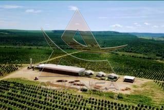 Aliança Imóveis - Imobiliária em Ribeirão Preto - SP - Fazenda  - Zona Rural - Itirapina