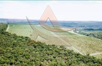 Aliança Imóveis - Imobiliária em Ribeirão Preto - SP - Fazenda  - Zona Rural - Itirapina